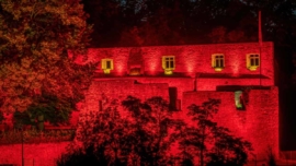 Illuminierte Heldenburg bei der Night of Light 2020, Bild 8