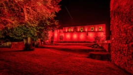 Illuminierte Heldenburg bei der Night of Light 2020, Bild 10