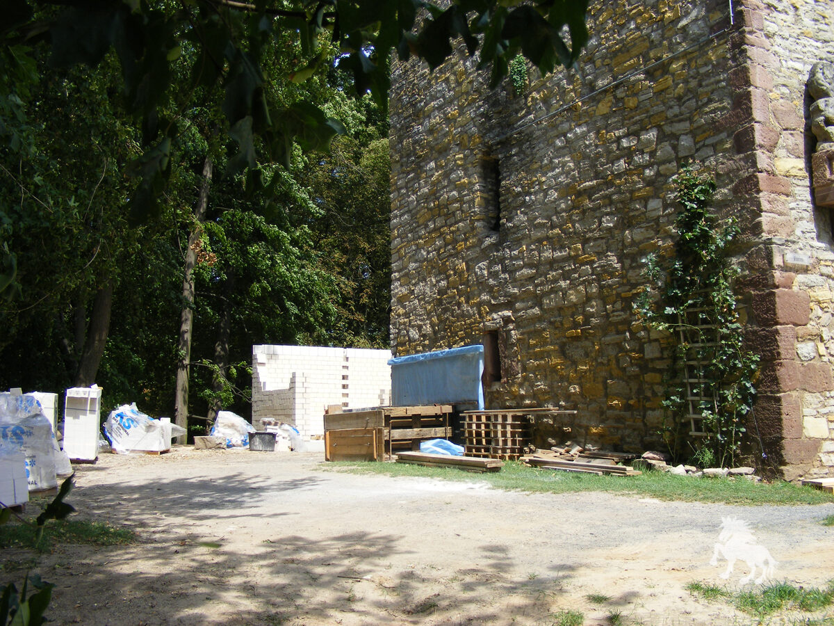 Toilette 10