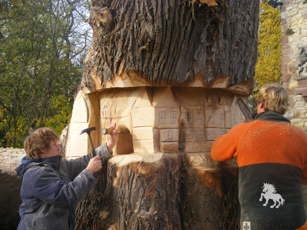 05 Linde Im Burghof