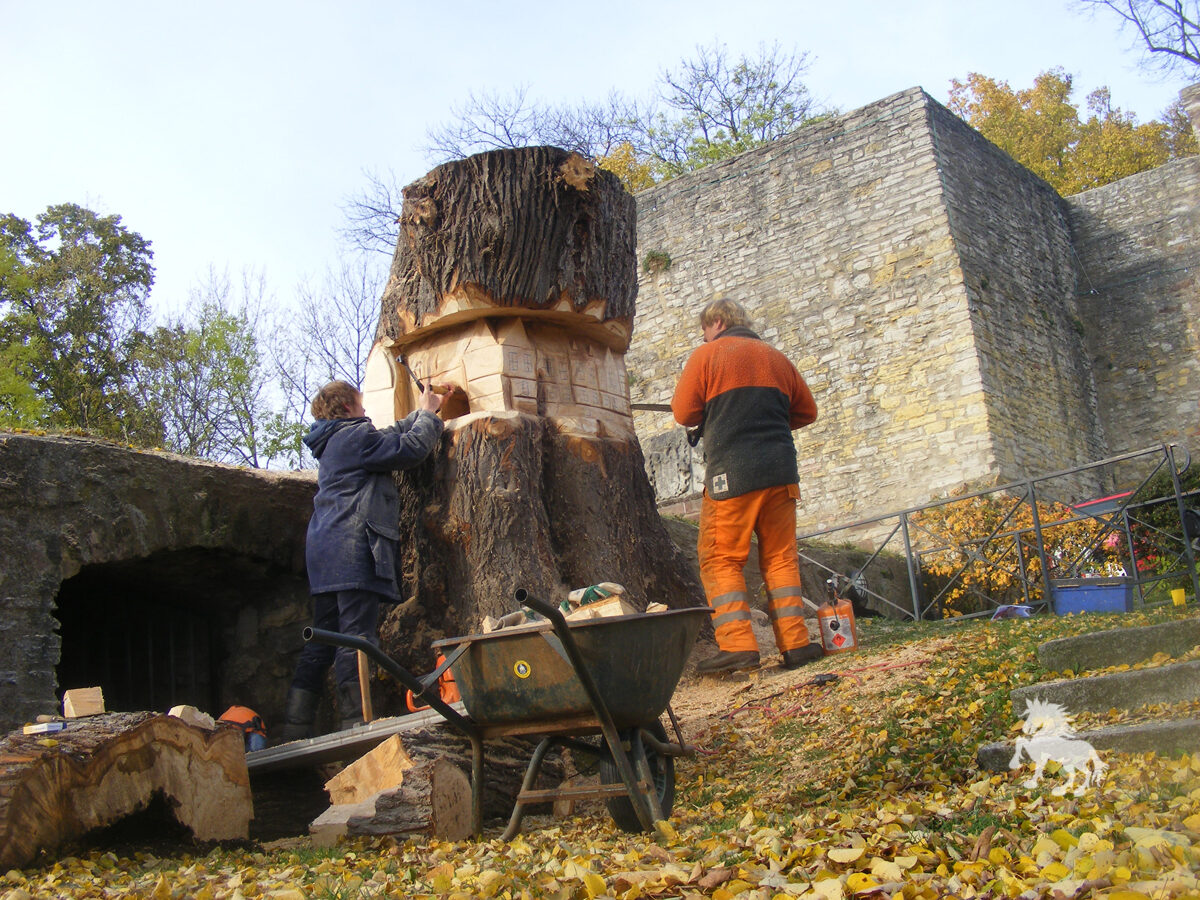 06 Linde Im Burghof
